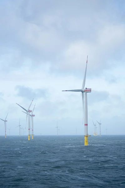 Offshore Windpark Für Erneuerbare Energien — Stockfoto