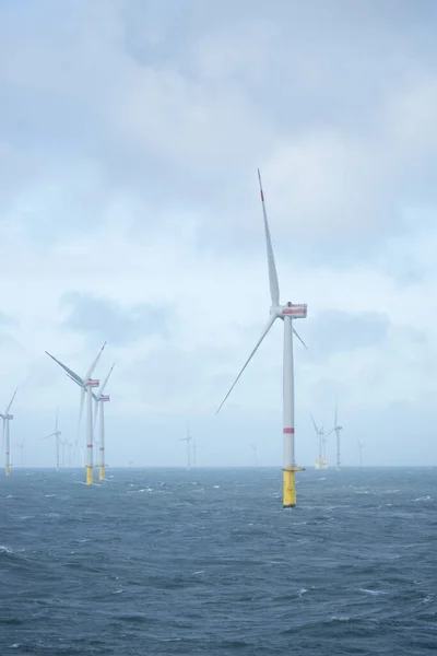 Offshore Windpark Voor Hernieuwbare Energie — Stockfoto