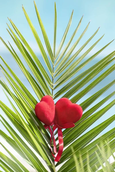 Symbol of love, honeymoon, wedding trip, romantic vacation, travel, holiday in exotic, tropical countries, on beach, seaside resort. Two red hearts couple in love on palm branch. Valentine's Day card