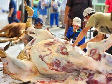 Yogyakarta, Endonezya, 17 Haziran 2024. Kurban Kurban Etmenin Heyecanı El-Adha 'da.