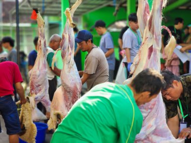 Yogyakarta, Endonezya, 17 Haziran 2024. Kurban Kurban Etmenin Heyecanı El-Adha 'da.