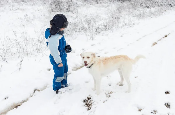 stock image preschooler boy stands in front of a white dog in the cold winter season. Active lifestyle, walks with your beloved pet, joy every day. Seasonal joys, happy childhood. Frosty weather