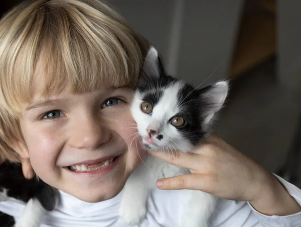 joyful boy smiles with a toothless smile and holds a little beloved black and white kitten near his face. cat day. happy childhood
