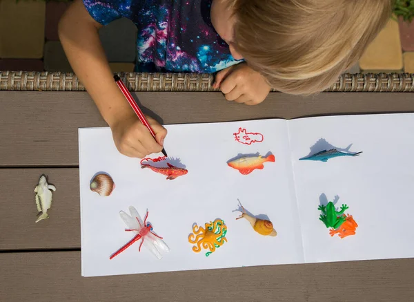 boy traces the shadows from the toy figurines of fish with a pencil. dragonflies, snails, frogs on white paper. ideas for the development of creative thinking, games for children. View from above