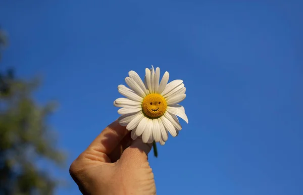 Single chamomile flower with smile on sky background. fun childhood, hello summer, cool congratulations to mom on mother\'s day. rejoice, have fun