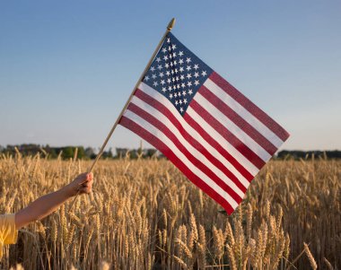 Güneş ışığıyla aydınlatılmış buğday tarlasında Amerikan bayrağı. tarım tahıl hasadı. Amerika Birleşik Devletleri 'nin Bağımsızlık Günü. Gurur, özgürlük, ulusal sembol