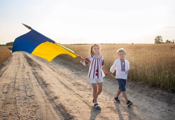 Діти Національному Одязі Ходять Пшеничному Полю Великим Синьо Жовтим Українським — стокове фото