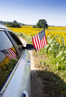 El, Amerikan bayrağını arabanın vitrininde tutuyor. Arabadaki bayrağın güzel yansıması ve çiçek açan ayçiçeği tarlası. Tatil, ülkeyi gezmek. Amerika Birleşik Devletleri 'nin Bağımsızlık Günü. Gurur