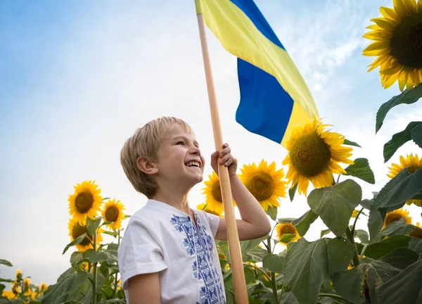 Щасливий Хлопчик Національній Вишитій Футболці Жовто Синім Прапором Стоїть Серед — стокове фото