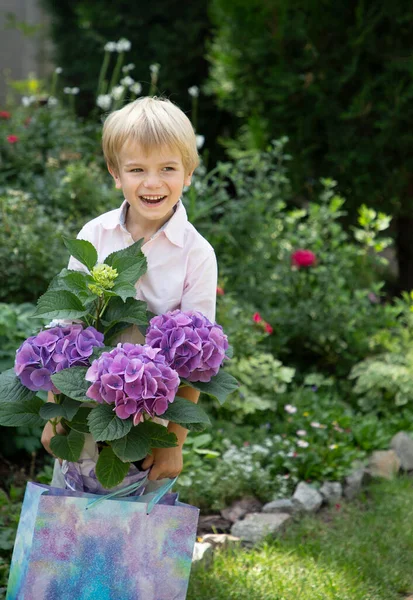 Kisfia Kezében Egy Ajándéktasakot Lila Hortenzia Virágot Tart Egy Edényben — Stock Fotó