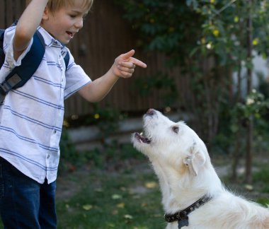 6 yaşındaki çocuk, beyaz köpeğiyle neşeyle oynuyor, çok sevdiği hayvanlara emirler veriyor. Bir çocuk ve bir hayvan arasındaki iletişimin keyfi, dört bacaklı bir arkadaşın arkadaşlığında keyifli bir eğlence.