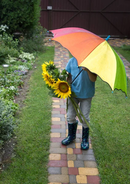 一个戴着一束向日葵的难以辨认的男孩躲在一个五颜六色的雨伞后面 多雨多云的天气 送给妈妈的鲜花礼物 — 图库照片
