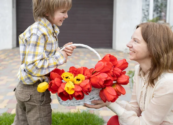 The son gives a bouquet of red tulips in a basket to his beloved mother. The atmosphere of children's love and positive. Congratulations on Mother's Day, birthday. flower gift with love