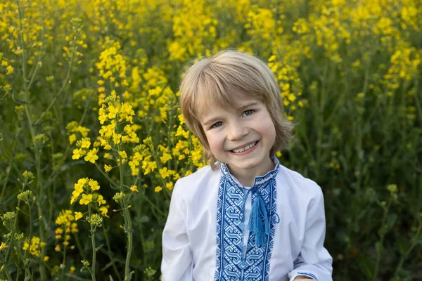 Retrato Lindo Niño Ucraniano Alegre Años Edad Tradicional Vyshyvanka Azul — Foto de Stock