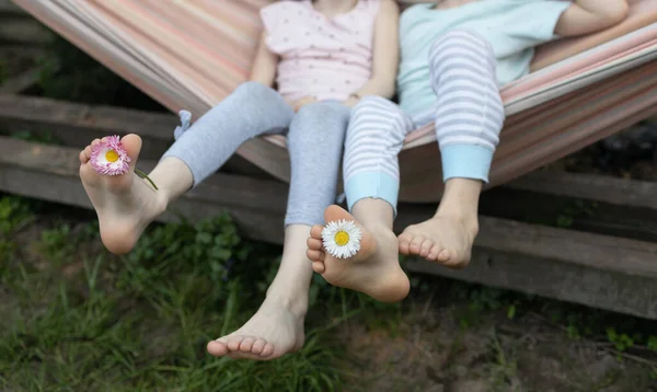 feet of children sitting on a hammock, between the toes of bare feet flowers of daisies. Have fun, enjoy life. messing around on vacation with a friend .sibling lifestyle.