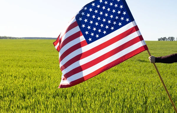 Αμερικανική Σημαία Πράσινο Φόντο Γρασίδι Έννοια Ημέρα Ανεξαρτησίας Πατριωτική Γιορτή — Φωτογραφία Αρχείου