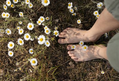 Çocuk ormanda papatyaların arasında yalınayak yürüyor. Eğlence, dinlenme, pozitif, mutlu çocukluk, yaşam tarzı. Merhaba yaz, doğanın enerjisi. Dünya Günü. seçici odak, üst görünüm