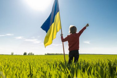 Ukrayna bayrağı, güneşli bir günde yeşil bir tarlada duran bir çocuğun siluetinin ellerinde dalgalanır. Ulusal özgürlük ve bağımsızlık sembolü. Savaşı durdurun..