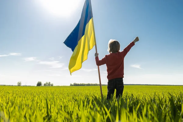 晴れた日に緑のフィールドに立って子供のシルエットの手の中に風にウクライナの国旗がなびく 自由と独立の象徴 戦争を止めて — ストック写真