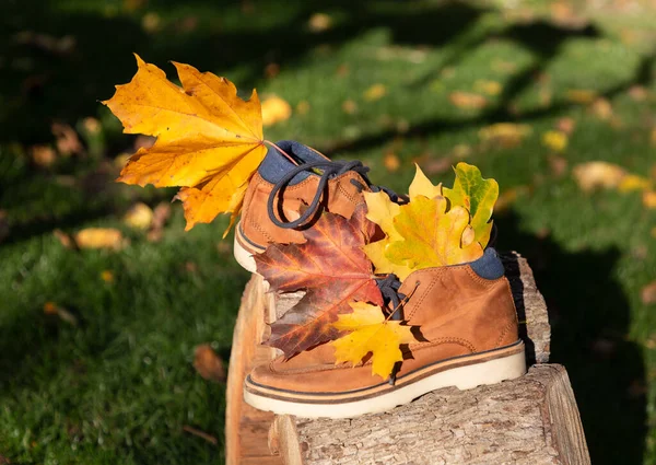 Sapatos Marrons Com Buquê Folhas Outono Amarelas Cor Laranja Toco — Fotografia de Stock