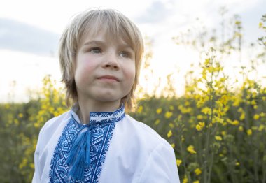Ulusal Ukrayna tişörtlü dalgın çocuk, vyshyvanka, çiçek açan bir ırz tohumu tarlası arasında. Ulusal kimlik. Vatanseverlik eğitimi. Savaşa karşı çocuklar