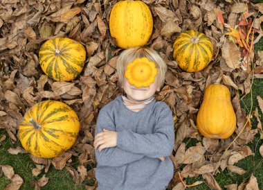 Çocuk, büyük ve küçük balkabaklarının arasında kuru yaprakların üzerinde yatıyor. Bir tanesi yüzünde yatıyor. Seçici odaklanma. Merhaba, Autumn. Doğal malzemelerle oyunlar