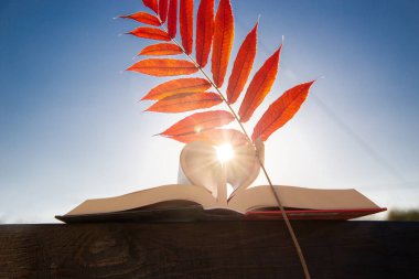 Mavi gökyüzüne karşı parlak kırmızı bir sonbahar yaprağı ile açık bir kitap. Güneş sayfaları delip geçer, kalp şeklinde katlanır. arka ışık. Eğitici bir kavram. Merhaba, Autumn. Kitap severler
