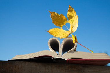 Merhaba, Autumn. Sonbaharı ve kitapları severim. Açık bir kitap ve içinde mavi gökyüzüne karşı kesilmiş bir kalp olan sonbahar sarı bir yaprak. eğitim kavramı