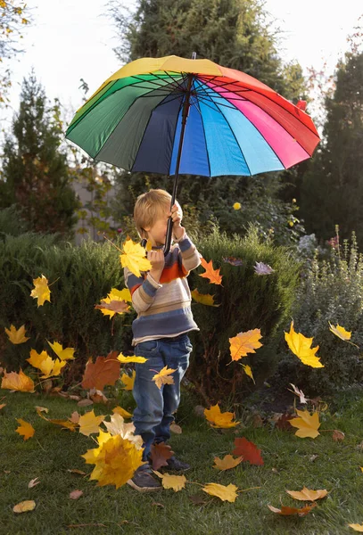 孩子站在彩虹伞下 许多五彩缤纷的秋叶飘落在周围 秋天的气氛 季节性的欢乐 快乐的童年 — 图库照片