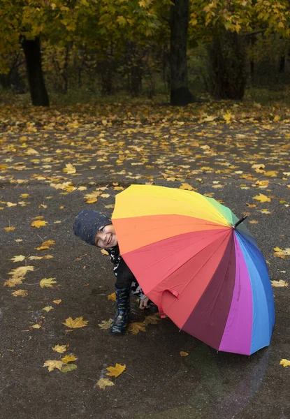 孩子们走在公园里 躲在一个巨大的彩虹伞下向外张望 地上撒满了黄色落叶 秋天的气氛 潮湿的天气 — 图库照片