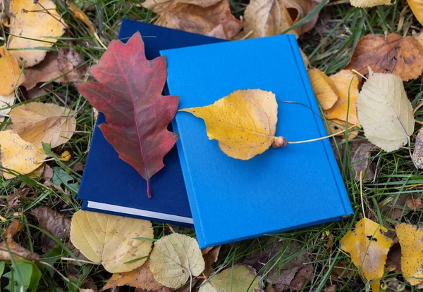 Hello Autumn Love Autumn Reading Books Back School Education Concept — Stock Photo, Image