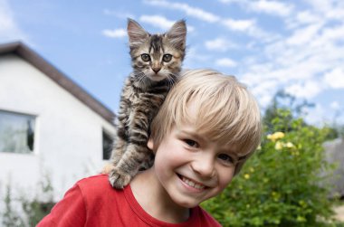 6-7 yaşlarında sevimli bir çocuk güzel bir kediciği omzunda tutuyor. Kedi günü. Mutlu çocukluk. Kedinin yüzüne odaklan. Hayvanlar ve insanlar arasında nazik, pozitif bir iletişim ortamı