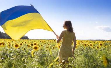Ukrayna 'nın sarı-mavi saten bayrağı bir kadının elinde çiçek açan ayçiçeği tarlasına karşı. Savaşı durdurun. Ulusun gururu, ülkenin sembolü, vatanseverlik. Bağımsızlık Günü.