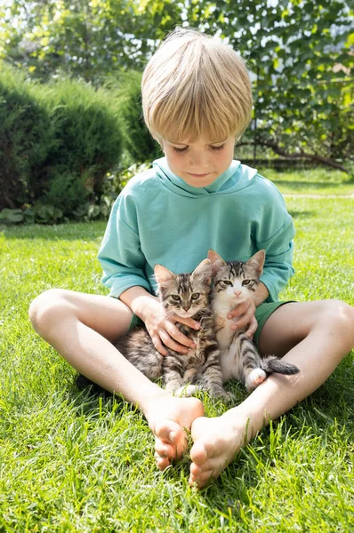 Dwa Słodkie Kociaki Siedzą Między Nogami Dziecka Boso Trawniku Radosna — Zdjęcie stockowe