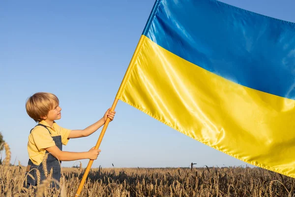 晴れた日に小麦畑に大きなウクライナのサテン旗を持った少年 国のシンボル 愛国心の教育について ウクライナでの戦争を止める 独立記念日 ナショナルシンボル コピースペース — ストック写真