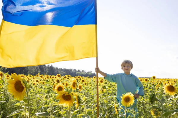 Річний Хлопчик Жовто Блакитним Великим Українським Прапором Стоїть Серед Квітучого — стокове фото