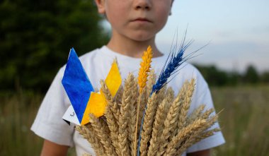 Bir buğday buğday buketi, sarı-mavi kanatlı barış güvercini, Ukrayna bayrağının renklerine boyanmış iki dikenli başak. Kavram. Savaşı durdurun. Ukrayna 'daki Holodomor' un Belleği