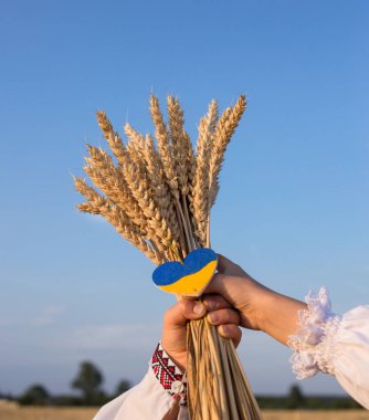 Gökyüzüne karşı çocukların ellerinde buğday dalları, küçük sarı-mavi kalp. Vatanseverlik, gurur duy ve Ukrayna 'yı sev. Bağımsızlık Günü. Ukrayna 'yı destekleyin. Ukrayna 'daki Holodomor' un anısı. tahıl anlaşması