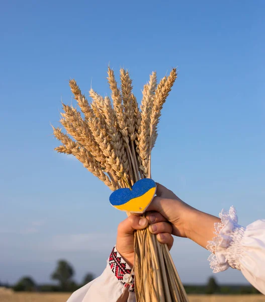 spikelets of wheat in hands of children against sky, small yellow-blue heart. patriotism, be proud and love Ukraine. Independence Day. Support Ukraine. Memory of the Holodomor in Ukraine. grain deal