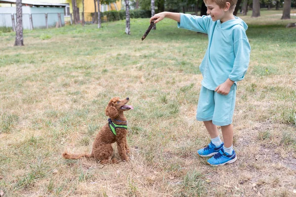 friendship between a child and a dog, the joy of life, happy moments, positive. Life style. Walk in the park with your favorite pet, active games