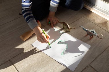 Çocuk, kağıtta oyuncak dinozorların zıt gölgelerini çiziyor. Çocukların yaratıcılığı için fikirler. Evde ve anaokulunda çocuklar için ilginç aktiviteler. Yukarıdan bak. Küçük bilim adamı