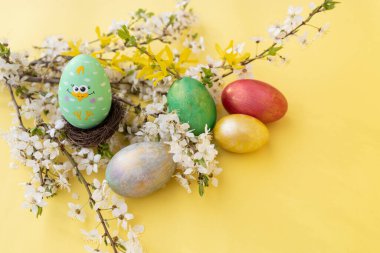 Sarı arka planda beyaz çiçekli dalları olan renkli Paskalya yumurtaları. Paskalya 'nın şefkati ve uyumu