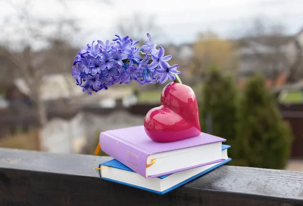 デリケートな大きなヒヤシンスの花 屋外2冊の本に 心臓型の花瓶があります こんにちは春 デジタルデトックス レクリエーション 本を読む愛の概念 花の驚き ロイヤリティフリーのストック画像