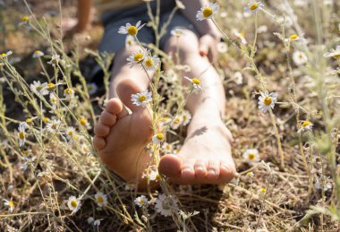 Çiçek açan papatyaların arasında oturan çıplak ayaklı bir çocuk. Neşe, rahatlama, pozitif, mutlu çocukluk. Merhaba yaz, doğanın enerjisi. Dünya Günü. seçici odak