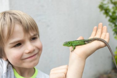 Çocuk avucunda yeşil bir kertenkele tutuyor ve ona faiziyle bakıyor. Çocuk, doğanın hayvan dünyasını inceleyecek ilginç hayvan temsilcileri arıyor. Sürüngenler ve zooloji hobisi