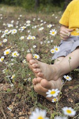 Papatya çayırlar arasında oturan çıplak ayaklı bir çocuk. Seçici odaklanma. Joy, merhaba yaz, rahatlama, pozitif, neşeli çocukluk. Doğanın enerjisi. Dünya Günü