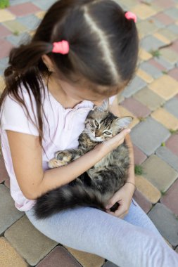 Bir kızın kollarında kahverengi tüylü evcil kedi. Bir kedi ve bir çocuk arasındaki arkadaşlık. favori hayvan