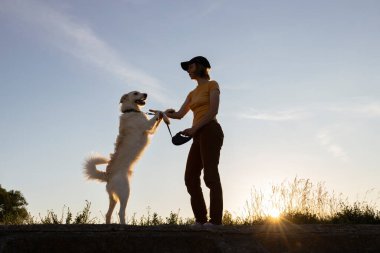 Kadın gün batımında beyaz köpeğiyle yürüyor. Aktif yaşam tarzı, dijital detoks, her gün neşe. Gökyüzünün arka planına ve batan güneşe karşı siluetler. Köpek kadının emirlerine uyar.