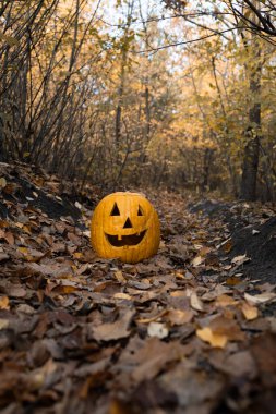 Yüzü oyulmuş büyük turuncu balkabağı düşen sonbahar yaprakları üzerinde ormanda tek başına yatıyor. Cadılar Bayramı Partisi, Şeker mi şaka mı?