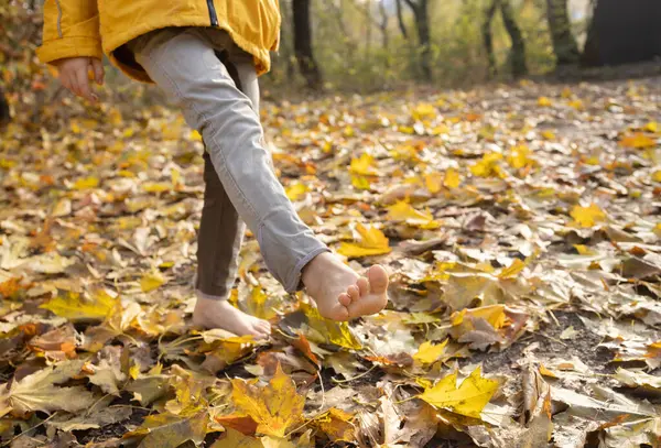 Merhaba, Autumn. Çocuk sonbahar parkında çıplak ayakla düşmüş kuru yaprakların arasında yürüyor. Çocukların ayaklarına odaklan. Hint yazı. Yaşama ve eğlenme özgürlüğü